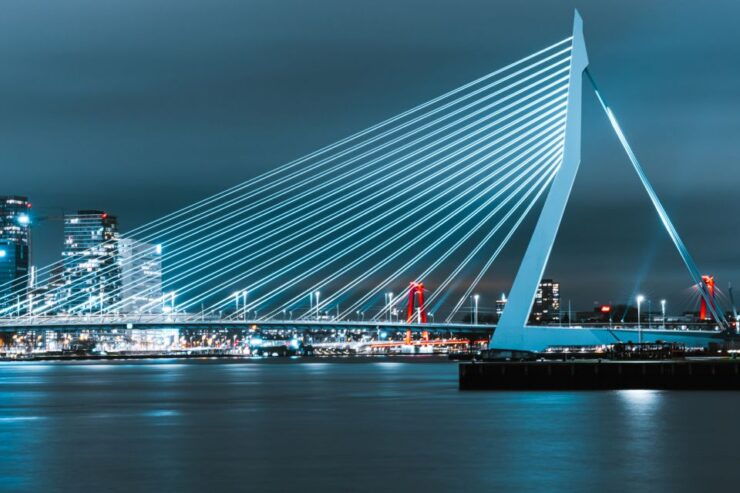 Rotterdam: First Discovery Walk and Reading Walking Tour - Activity Details and Features