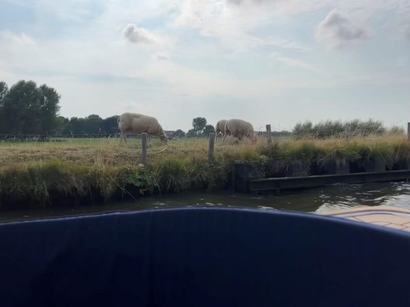 Rotterdam: green heart Midden-Delfland: Luxury Boat Tour - Who Will Love This Tour?