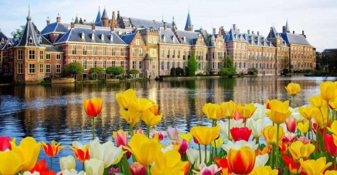 Rotterdam, Hague & Delft Private Tour From Amsterdam by Car - Cultural Experiences
