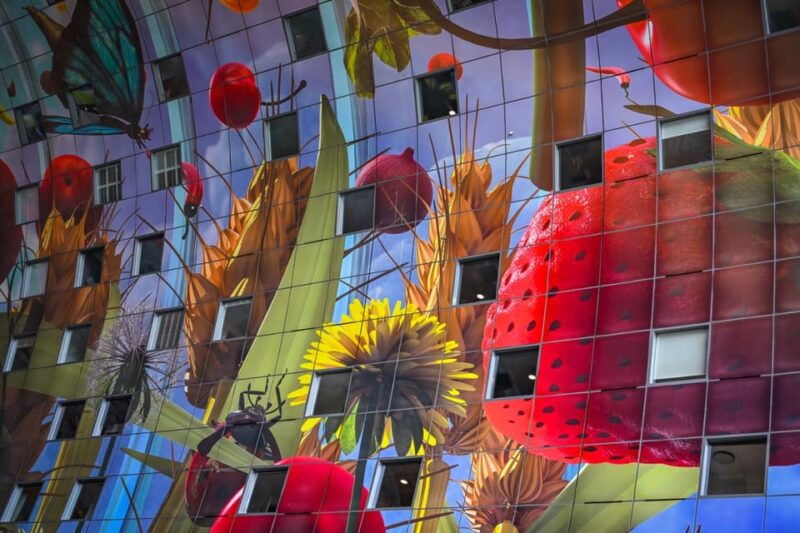 Rotterdam: Highlights & Gems Walking Tour with Dutch Local - Who Should Book This Tour?