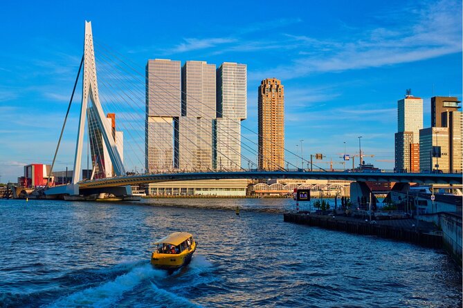 Rotterdam Highlights With Local: Walking Tour & Boat Cruise - River Cruise in Rotterdam