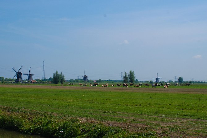 Rotterdam Private Guided Bike Tour of Kinderdijk - Contact and Booking Information