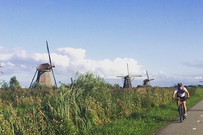 Rotterdam Private Guided Bike Tour of Kinderdijk - The Sum Up