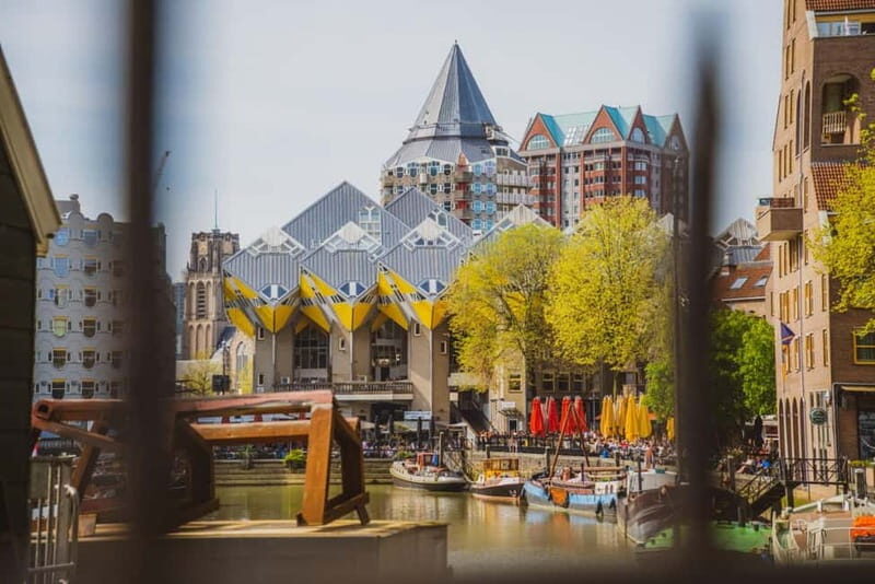 Rotterdam: PRIVATE Highlight & Hidden Gems Walk With Local - Who Will Love This Tour?