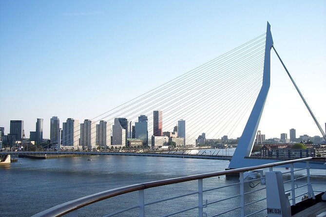 Rotterdam Private Introduction Tour - Reviews