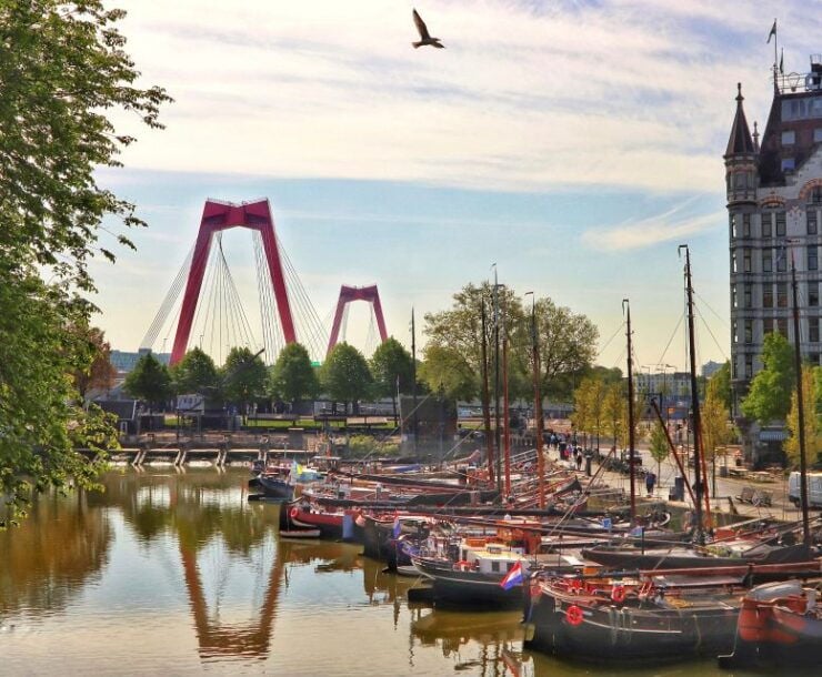 Rotterdam: Self-Guided City Walking Tour With Audio Guide - Activity Details and Benefits