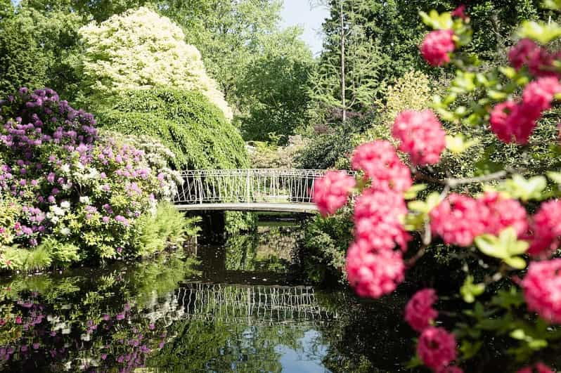Rotterdam: Trompenburg Botanical Gardens Entry Ticket - The Plant Collections and Features