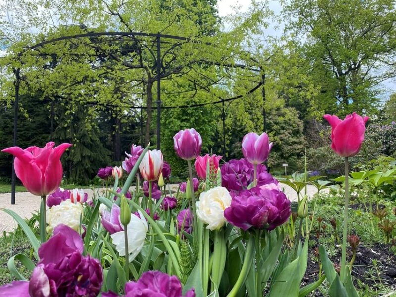 Rotterdam: Trompenburg Botanical Gardens Entry Ticket - The Sum Up