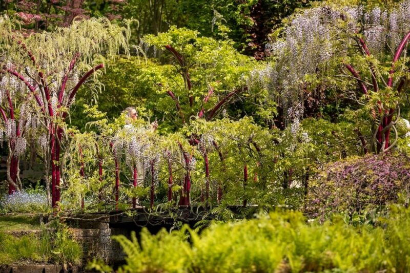 Rotterdam: Trompenburg Botanical Gardens Entry Ticket - FAQ