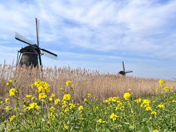 Rotterdam: Waterbus Ticket to Dordrecht And/Or Kinderdijk - Experience and Activities