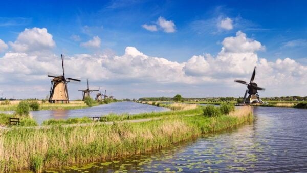 Rotterdam: Waterbus Ticket to Dordrecht And/Or Kinderdijk - The Sum Up