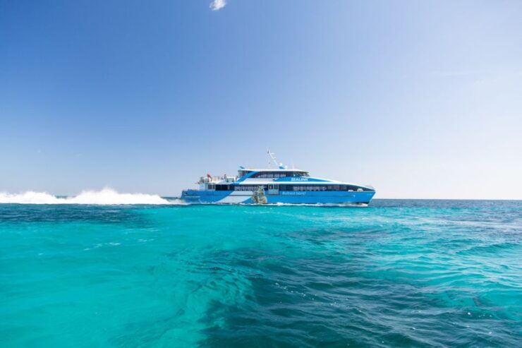 Rottnest Grand Island Package With Ferry, Tour & Light Lunch - Activity Highlights