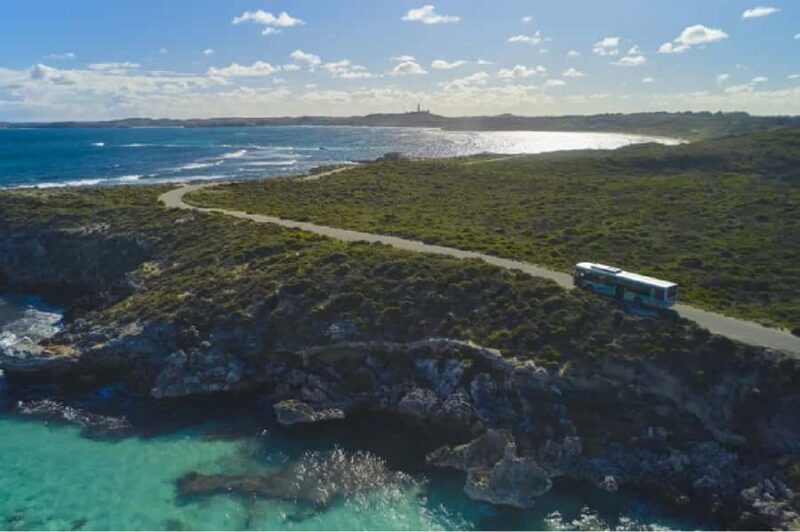 Rottnest Island 1.75 Hour Bayseeker Island Tour - A Closer Look at the Experience