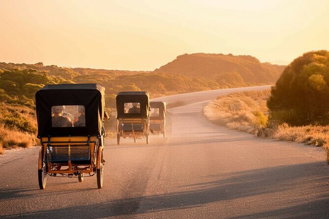 Rottnest Island 90-minute E-Rickshaw Adventure with Tour Guide - Who Should Consider This Tour?