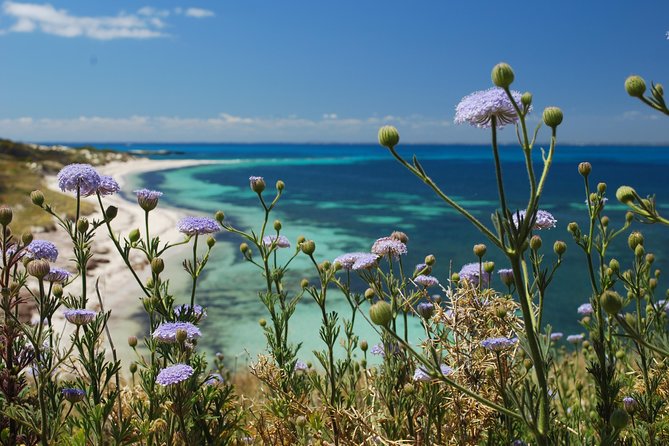 Rottnest Island Bayseeker Tour - Tour Details