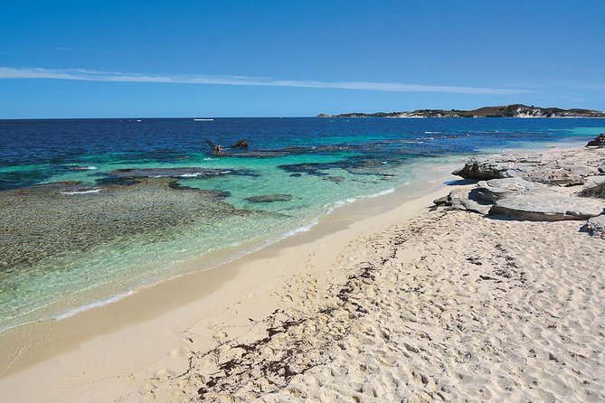Rottnest Island Bayseeker Tour - Traveler Photos