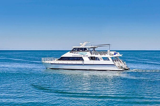 Rottnest Island Boat Dive Day Trip including Lunch - Discover the Best of Rottnest Island with a Boat Dive Day Trip