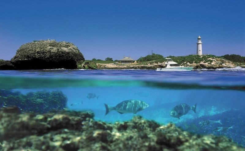 Rottnest Island Experience with Ferry Transfer and Island Tour - From Oliver Hill to the island’s far edge