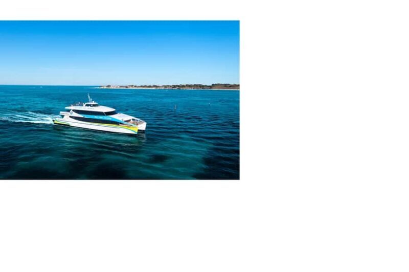 Rottnest Island Ferry and 1.75 Hr Bus Tour - A Complete Look at the Rottnest Island Ferry and Bus Tour