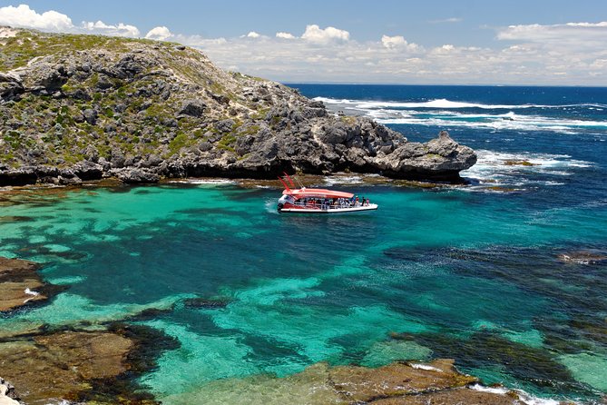 Rottnest Island From Perth or Fremantle With Wildlife Cruise - Pricing and Booking