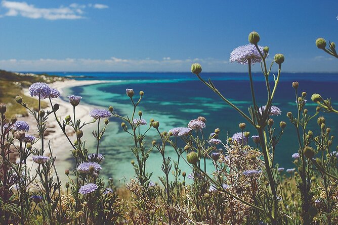 Rottnest Island Full-Day Trip With Guided Island Tour From Perth - Additional Information and Tips