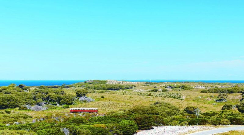 Rottnest Island: Grand Bus and Train Tour with Lunch - Good To Know