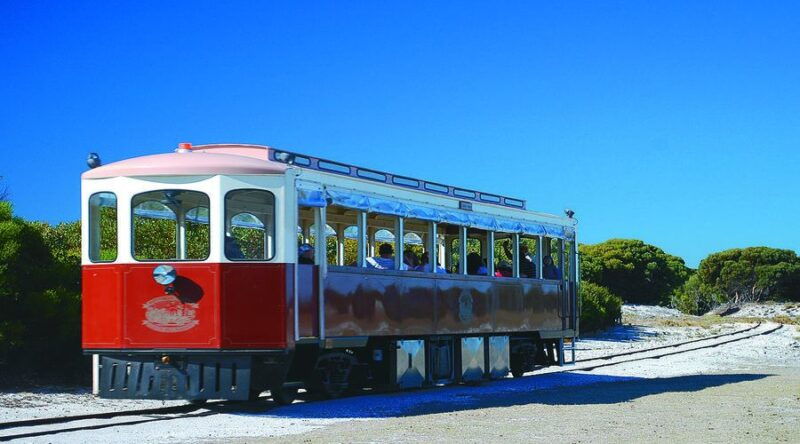 Rottnest Island: Grand Bus and Train Tour with Lunch - The Perfect Fit: Who Should Consider This Tour?