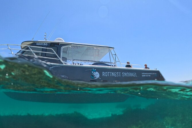 Rottnest Island Guided Snorkel Boat Experience - Activities and Inclusions