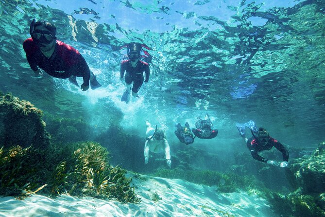 Rottnest Island Guided Snorkel Boat Experience - Cancellation Policy