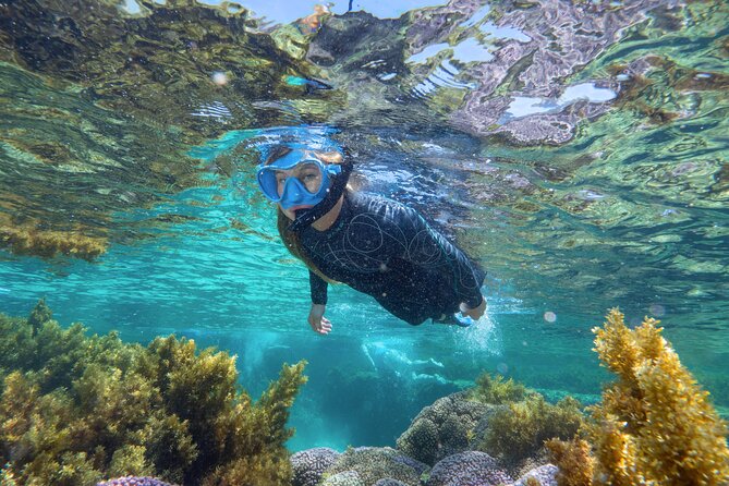 Rottnest Island Guided Snorkel Boat Experience - Common Questions