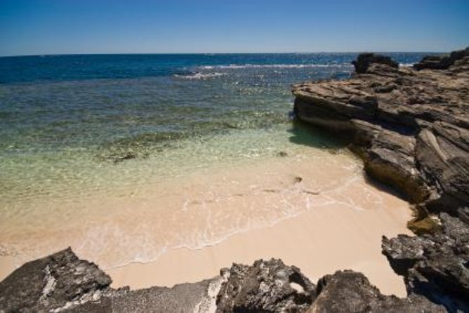 Rottnest Island Round-Trip Ferry From Perth - Activities and Attractions