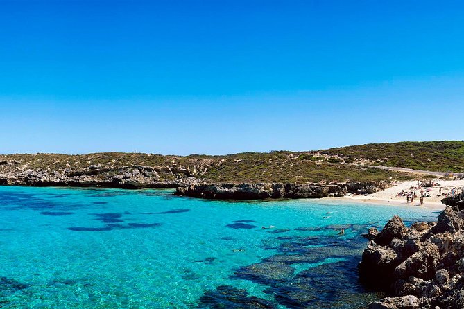 Rottnest Island Roundtrip Fast Ferry From Hillarys Boat Harbour - Exploring Rottnest Island