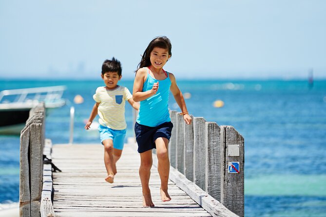 Rottnest Island Roundtrip Fast Ferry From Hillarys Boat Harbour - Additional Information