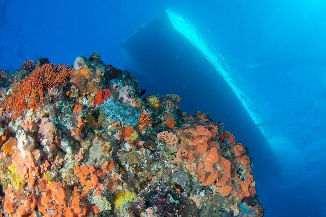Rottnest Island scuba dive tour - Good To Know