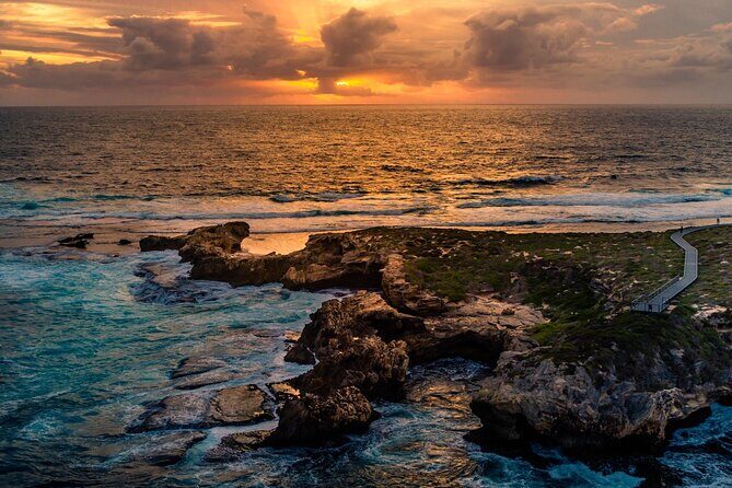 Rottnest Island Seals Sunset and West End Bus Tour - Good To Know