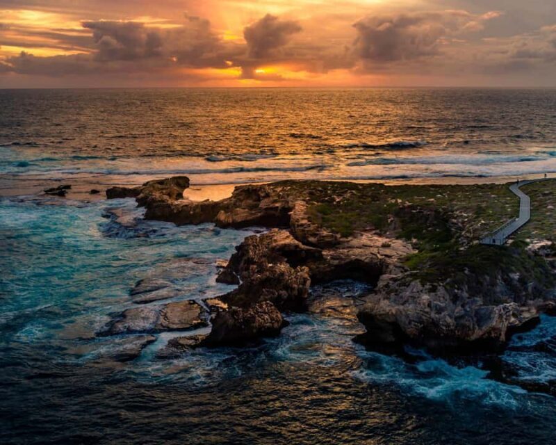 Rottnest Island Seals, Sunset & West End Bus Tour - Good To Know
