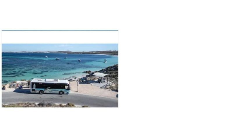Rottnest Island Seals, Sunset & West End Bus Tour - Authentic Insights from Reviews