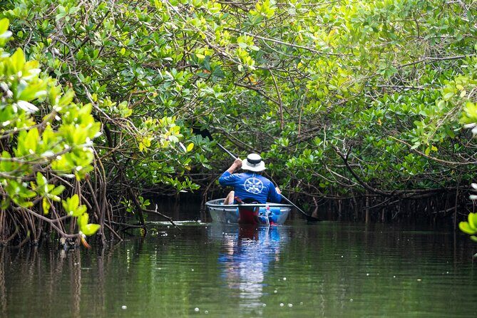 Round Island 2-Hour Glass Bottom Guided Kayak Eco Tour - Good To Know