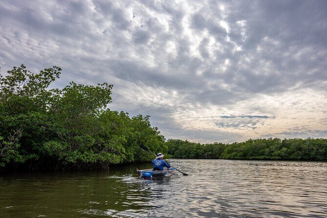 Round Island 2-Hour Glass Bottom Guided Kayak Eco Tour - The Value and Practical Considerations