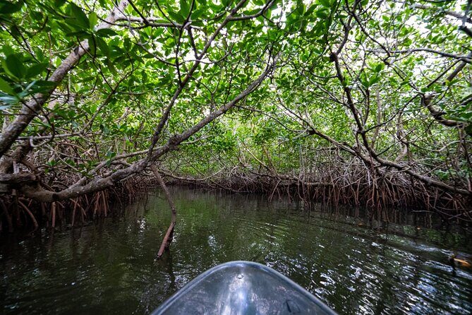 Round Island 2-Hour Glass Bottom Guided Kayak Eco Tour - FAQs