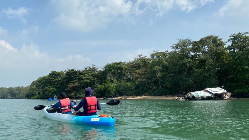 Round Ketam Kayaking Adventure in Pulau Ubin Singapore - Who should book this kayak trip?