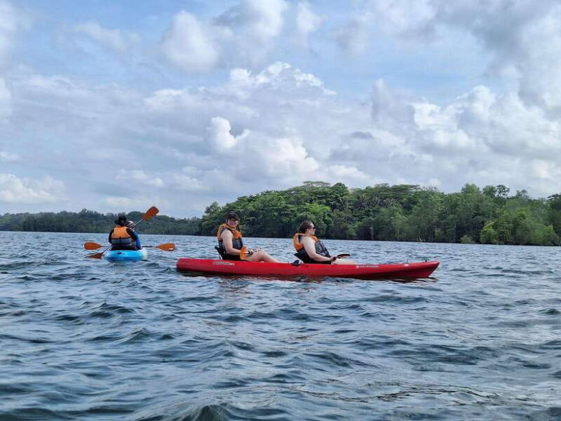 Round Ketam Kayaking at Pulau Ubin - The Experience: Paddling & Wildlife