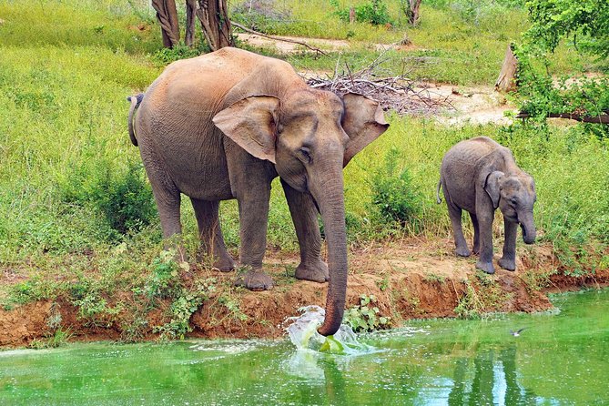 Round Tour - 7days & 6nights - Itinerary Overview