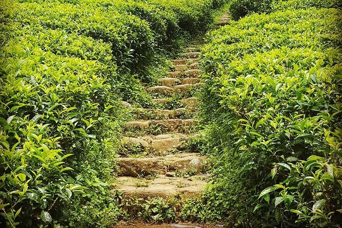 Round Tour - 7days & 6nights - Optional Activities