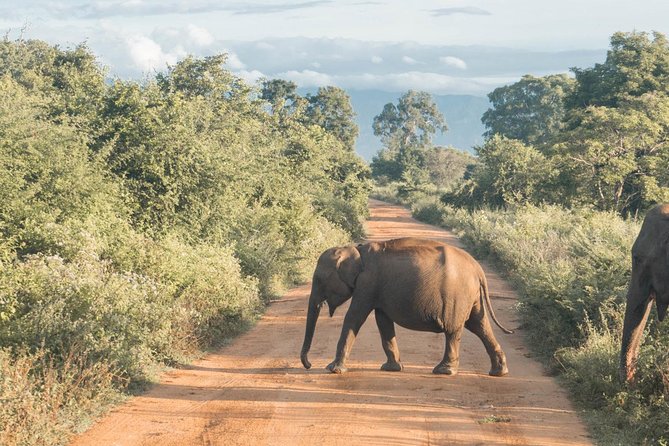 Round Tour - 7days & 6nights - Booking and Cancellation Policy