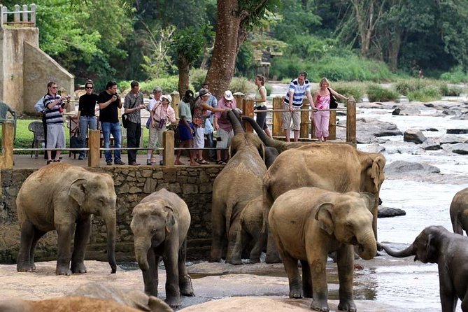 Round Tours,Nature and Wildlife Tours,Culture and Heritage Tours,Adventure Tours - Pickup Options