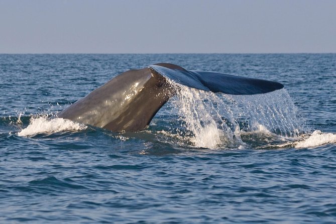 Round Tours,Nature and Wildlife Tours,Culture and Heritage Tours,Adventure Tours - Cancellation Policy