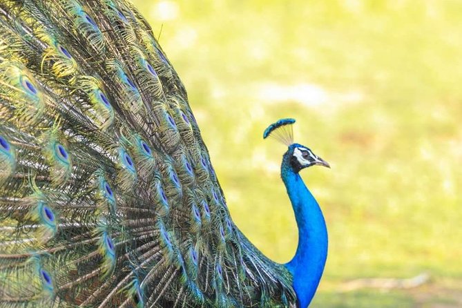 Round Tours,Nature and Wildlife Tours,Culture and Heritage Tours,Adventure Tours - Tour Directions