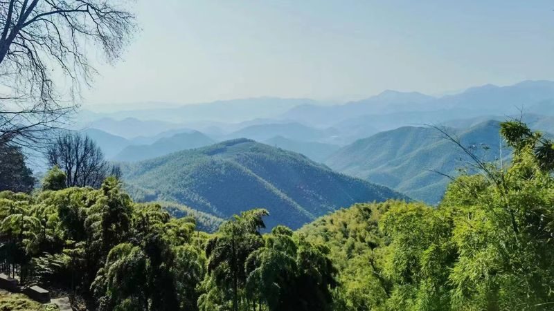 Round Trip from Hangzhou to Moganshan: Sword Pond + Mao Zedongs Residence + Chiang Kai-sheks Official Residence + Luhua Dang Park One-Day Tour - What makes this Moganshan day trip worth considering