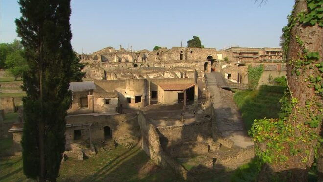Round-Trip Limousine Transfers From Rome to Pompeii - Inclusions